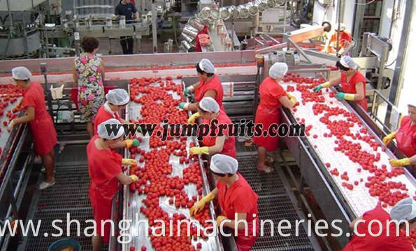 Quality Canned Food Fruit Vegetables Processing Machinery